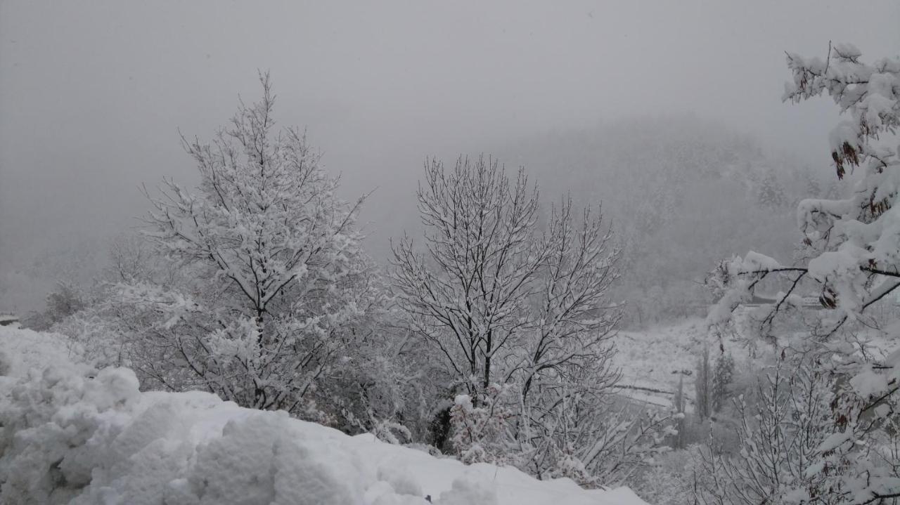 Studio Montagne Cerdagne A サイヤグーズ エクステリア 写真